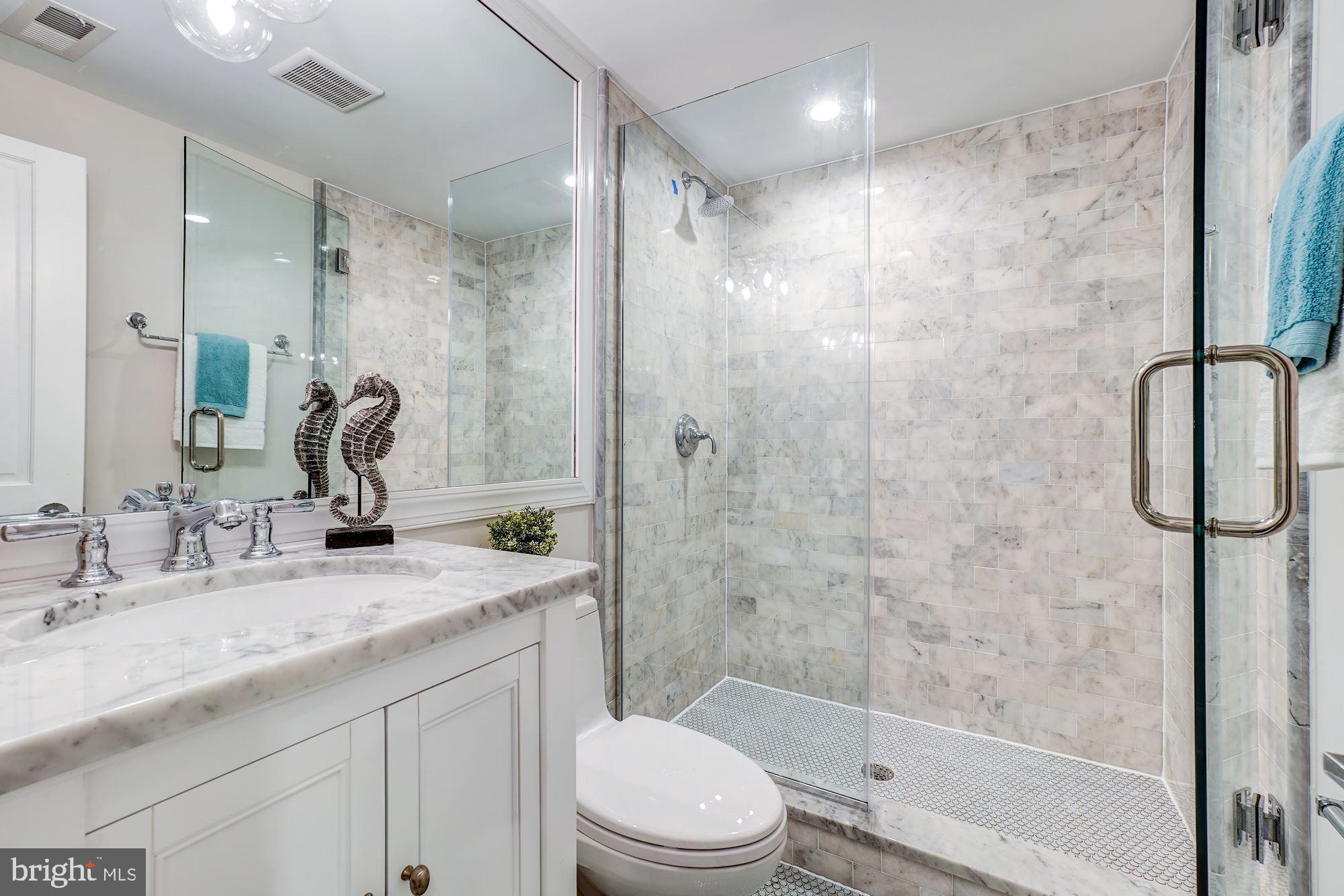 3009 Ordway Street Northwest Washington, DC 20008 - Photo 26 of 33 Fourth full bathroom