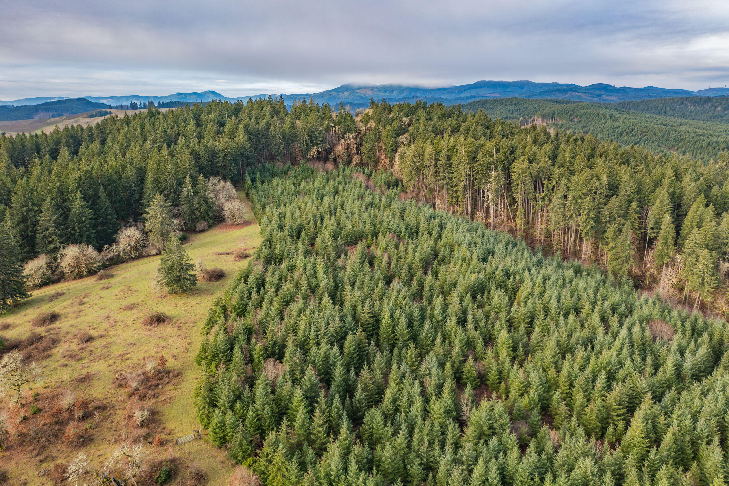 0 Airlie Road Monmouth, OR 97361 - Photo 7 of 33 Export-0835