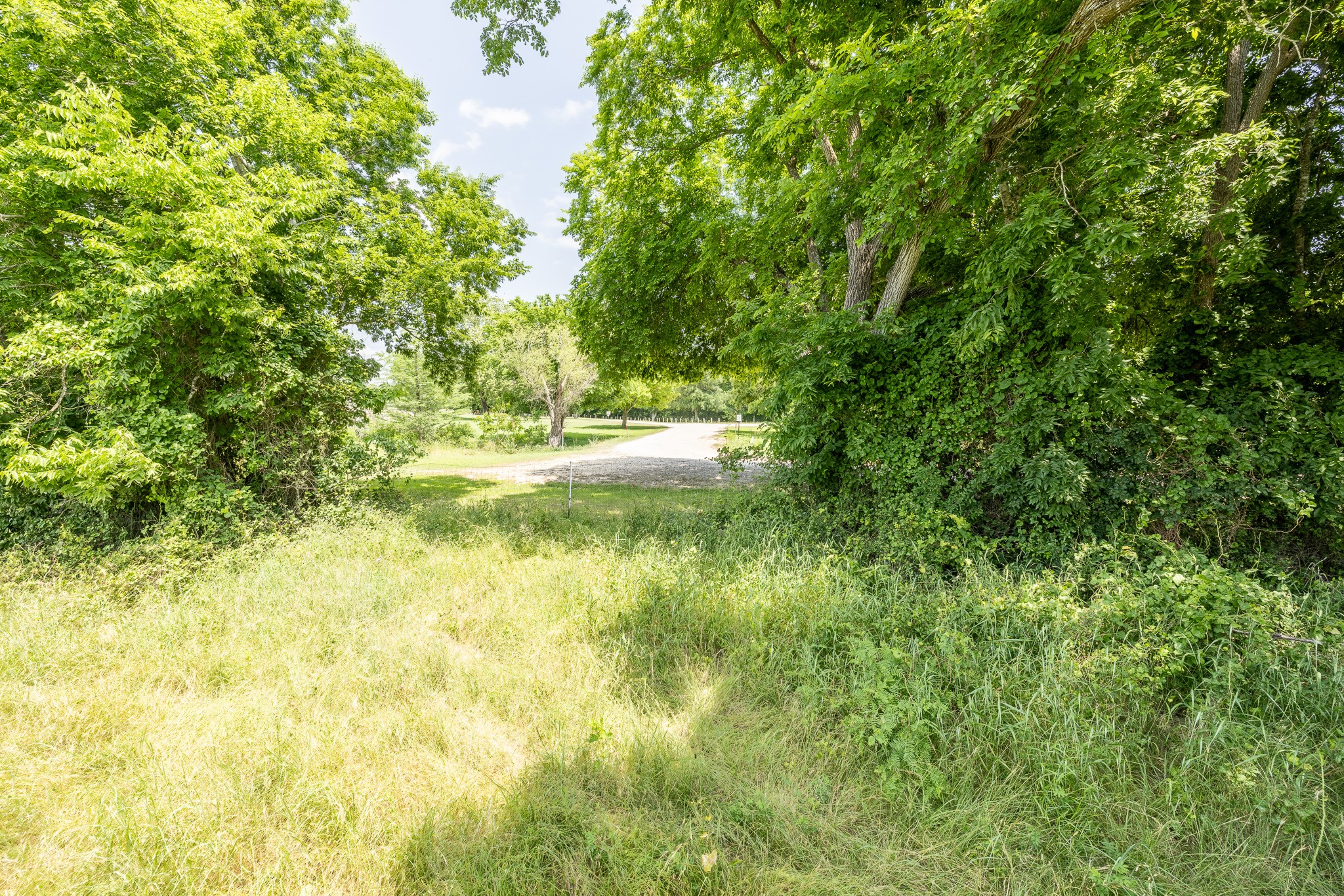 2091 Goodwin Road Gonzales, TX 78629 - Photo 14 of 23 a view of a yard with plants and trees