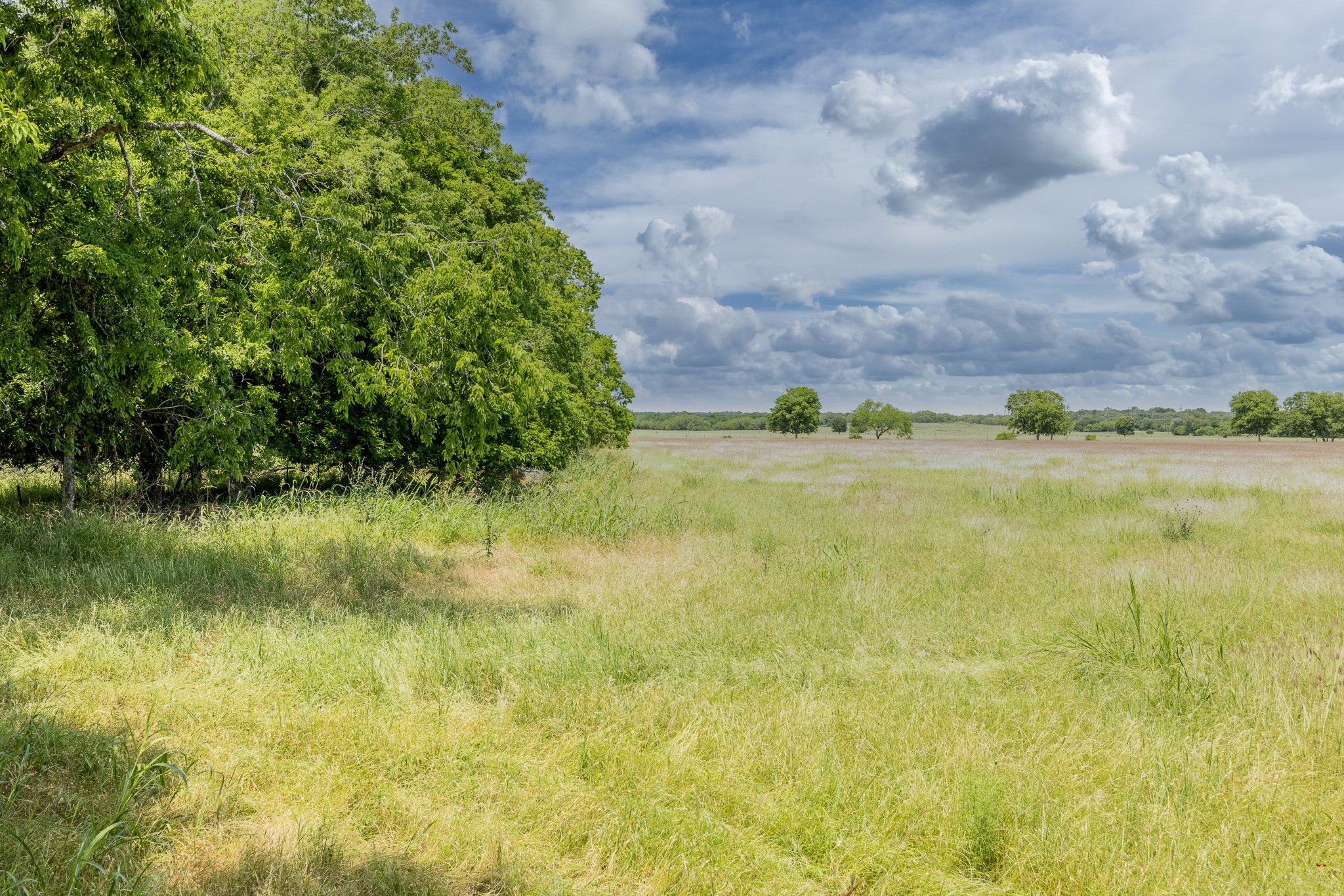 2091 Goodwin Road Gonzales, TX 78629 - Photo 4 of 23 a view of a garden with a building in the background