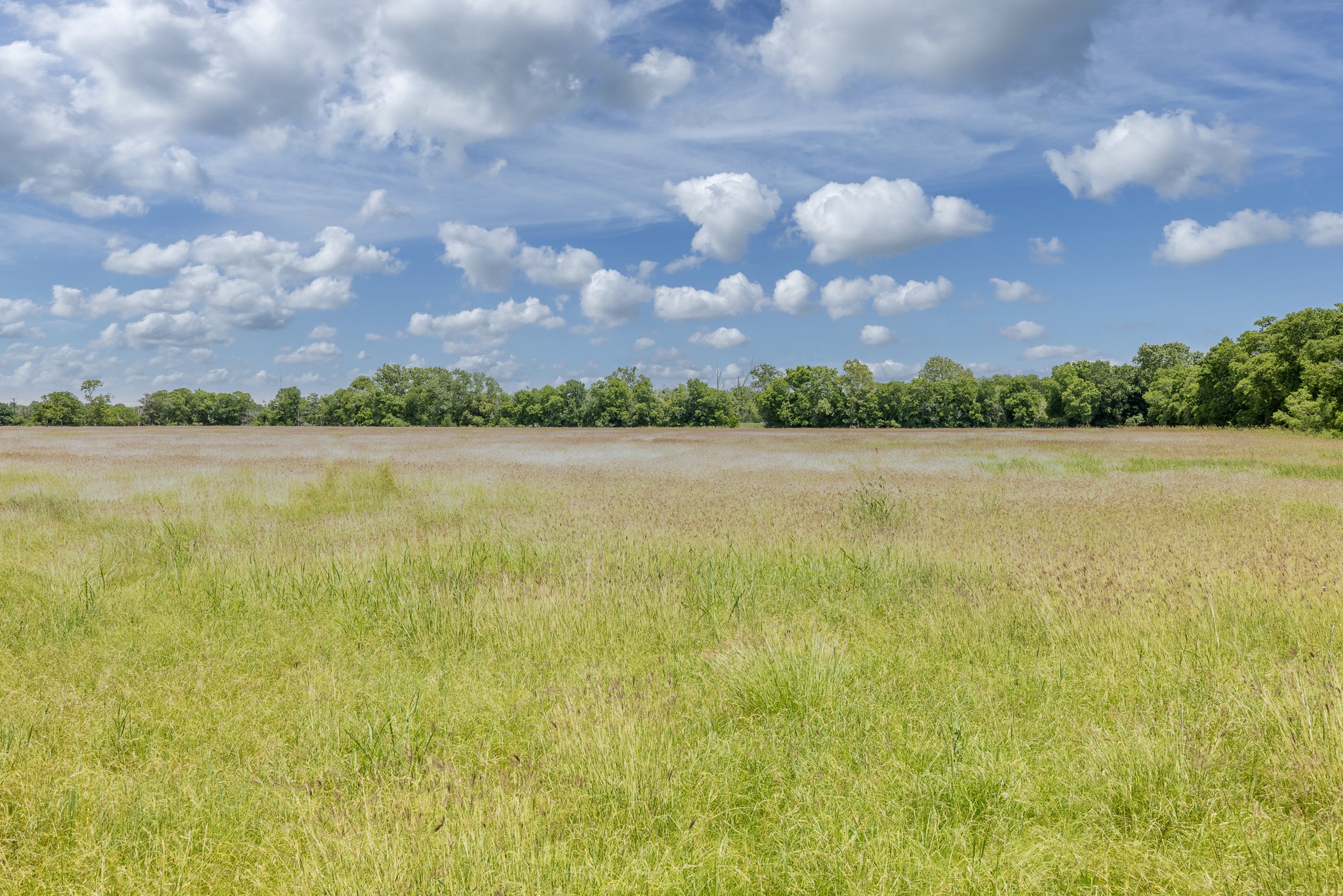 2091 Goodwin Road Gonzales, TX 78629 - Photo 7 of 23 a view of yard and ocean in background