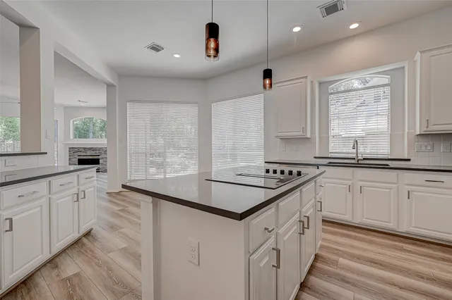 $3,150 | 38 Tethered Vine Place, The Woodlands, TX 77382