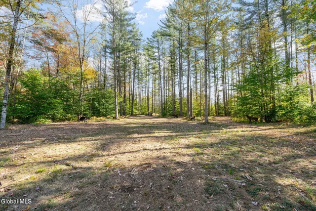 $599,000 | 7544 Wildcat Road, Port Leyden, NY 13433