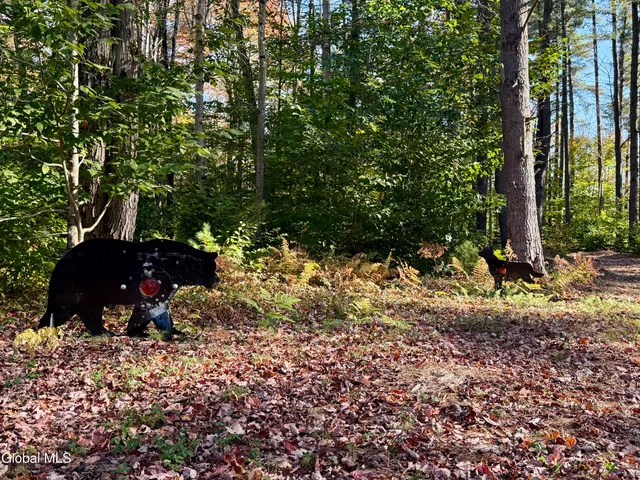 $599,000 | 7544 Wildcat Road, Port Leyden, NY 13433