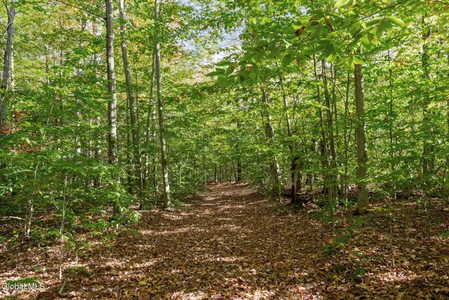 $599,000 | 7544 Wildcat Road, Port Leyden, NY 13433