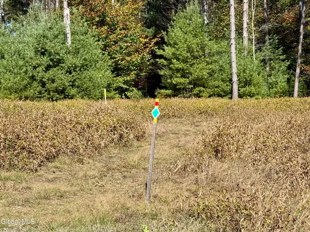 $599,000 | 7544 Wildcat Road, Port Leyden, NY 13433