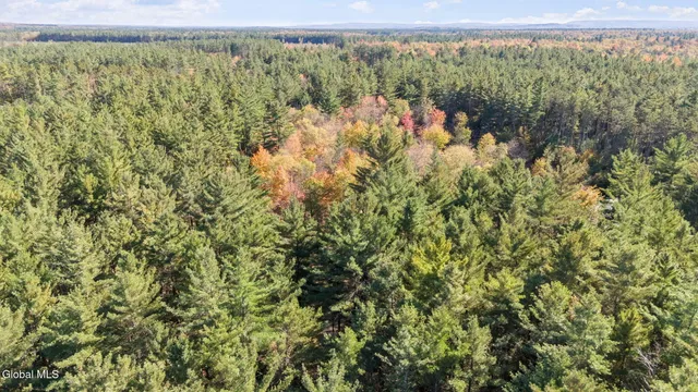 $599,000 | 7544 Wildcat Road, Port Leyden, NY 13433