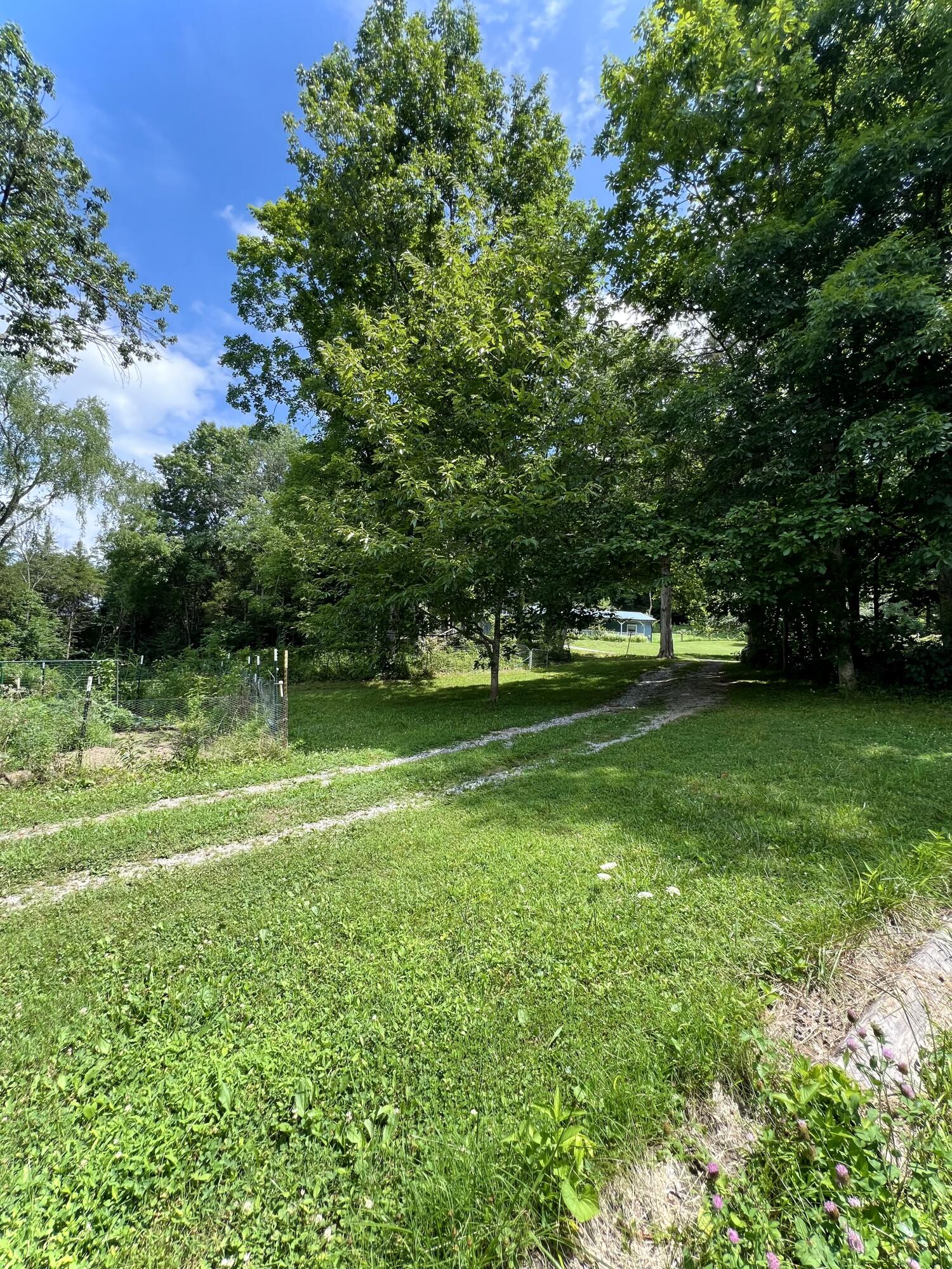 220 Rabbit Run Road Burkesville, KY 42717 - Photo 16 of 45 IMG_3632