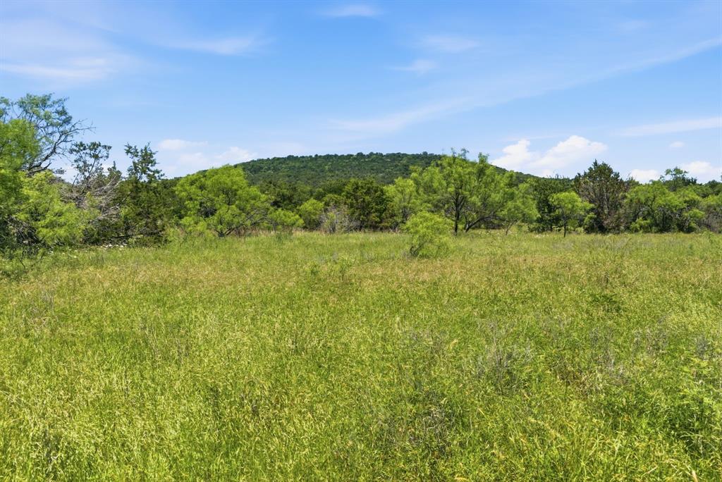 4320 Dobbs Valley Road Millsap, TX 76066 - Photo 18 of 40 a view of a field with an ocean