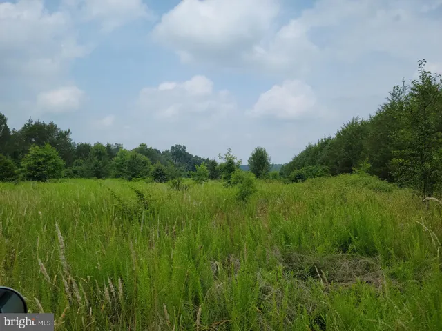 a view of a lush green space with sea