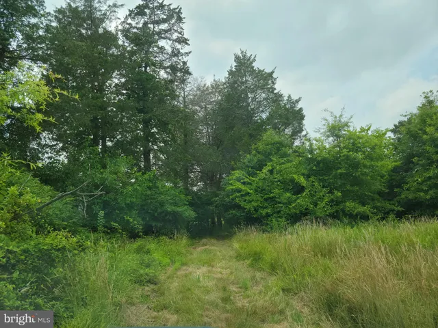 a view of lake with green space
