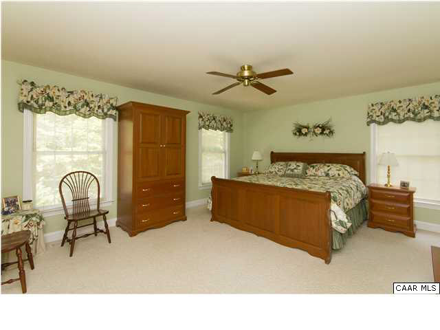 653 Broken Island Road Palmyra, VA 22963 - Photo 18 of 42 Master with Spa Bath - Lovely Wooded Views from Every Room In The Home