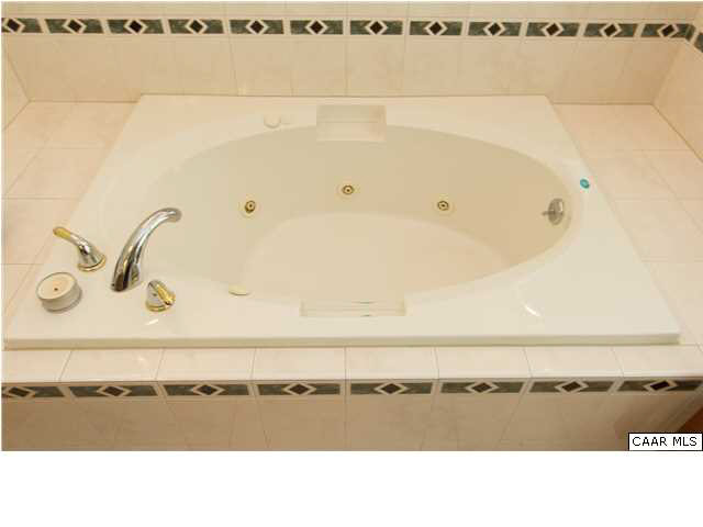 653 Broken Island Road Palmyra, VA 22963 - Photo 20 of 42 Gallery Image 20