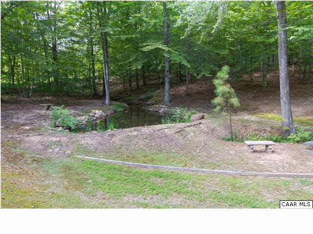 653 Broken Island Road Palmyra, VA 22963 - Photo 37 of 42 Total Privacy Here