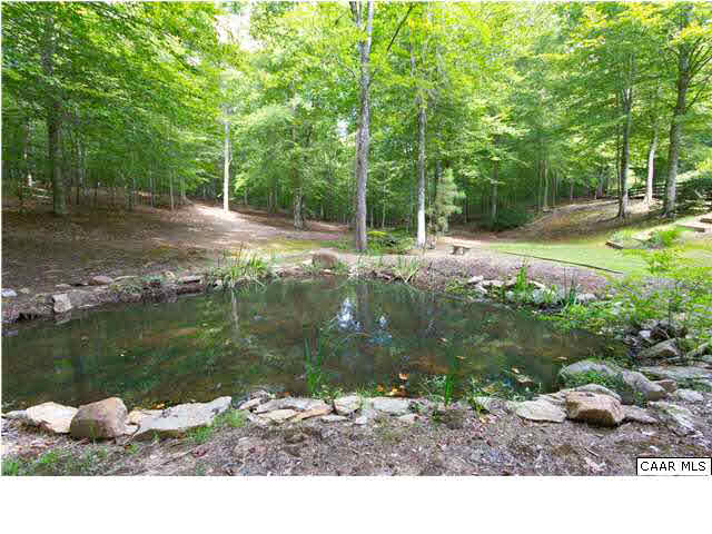653 Broken Island Road Palmyra, VA 22963 - Photo 38 of 42 Small Fish Pond in Back
