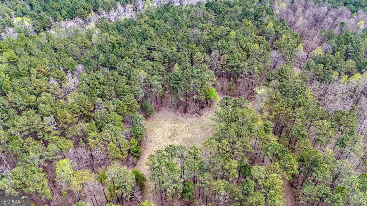 0 Felton Rockmart Road Buchanan, GA 30113 - Photo 29 of 47