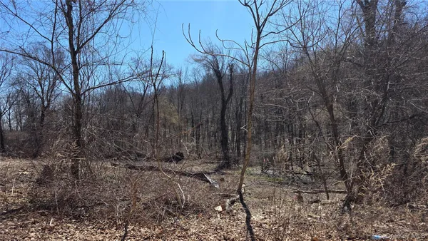 a view of a yard with trees