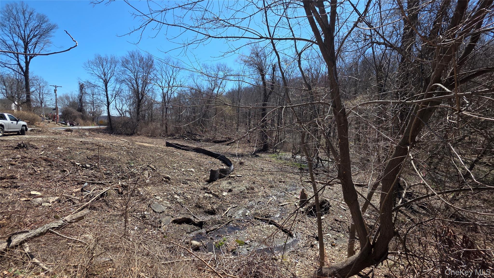 91 Barrett Hill Road Carmel, NY 10512 - Photo 3 of 4 a view of a backyard of the house