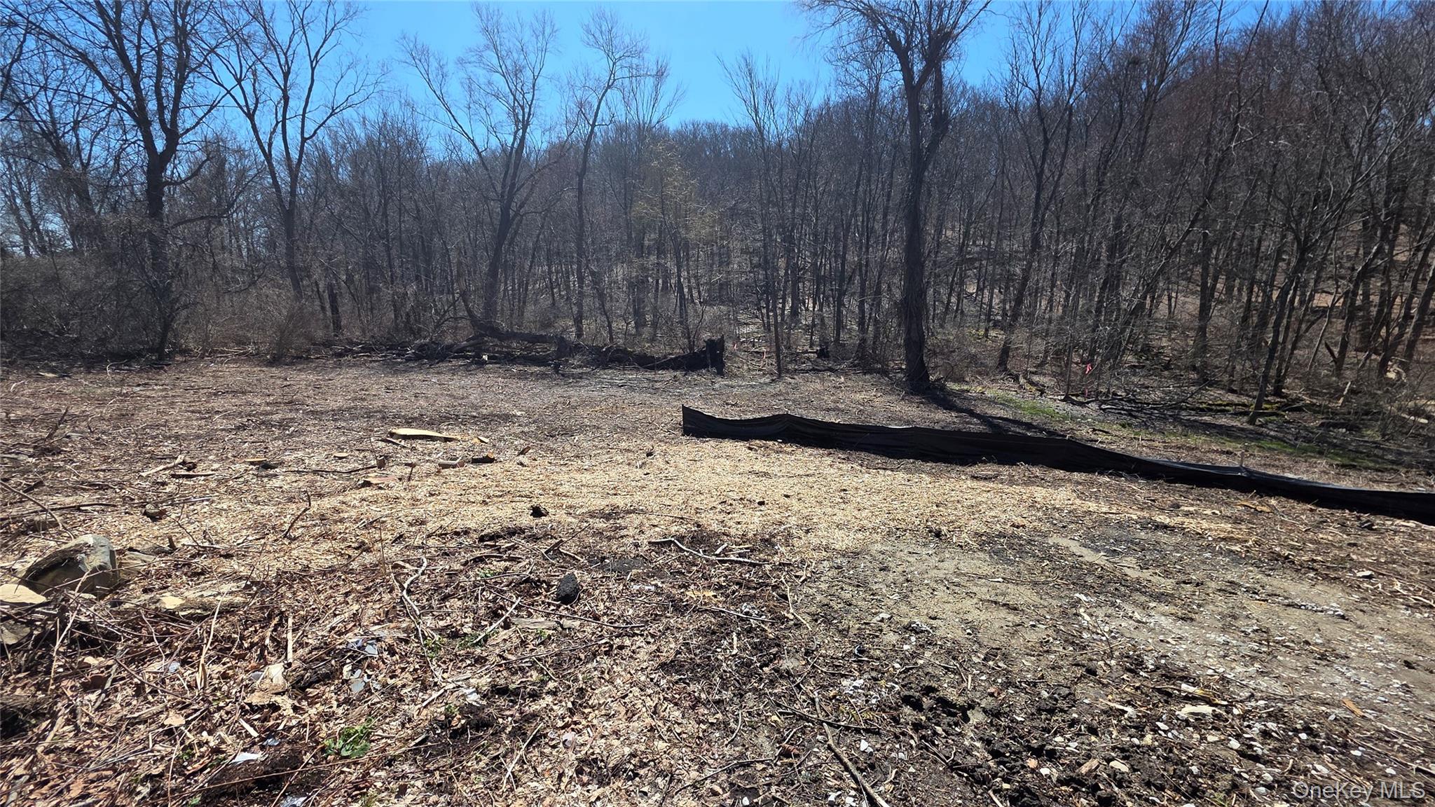 91 Barrett Hill Road Carmel, NY 10512 - Photo 4 of 4 a view of a yard with plants