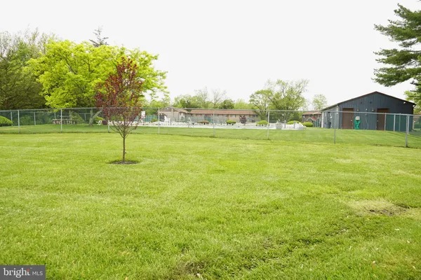 a view of a garden with a tree