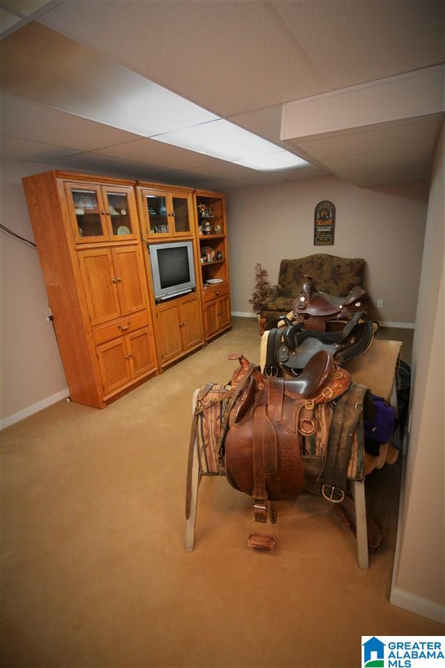 119 Sargent Road Pell City, AL 35125 - Photo 22 of 49 Gallery Image 22