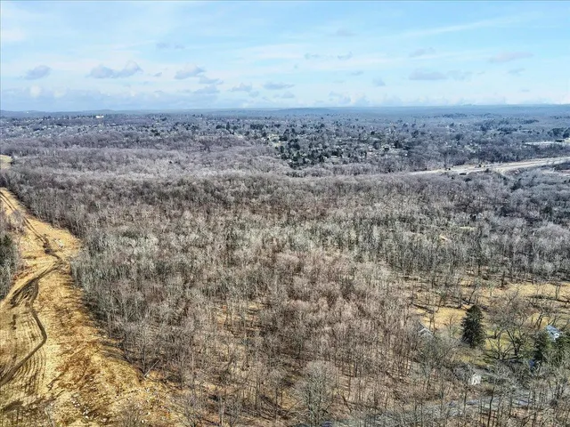 a view of a big yard with large trees