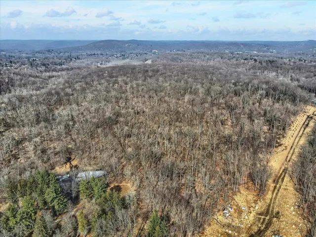 a view of a field with trees in it
