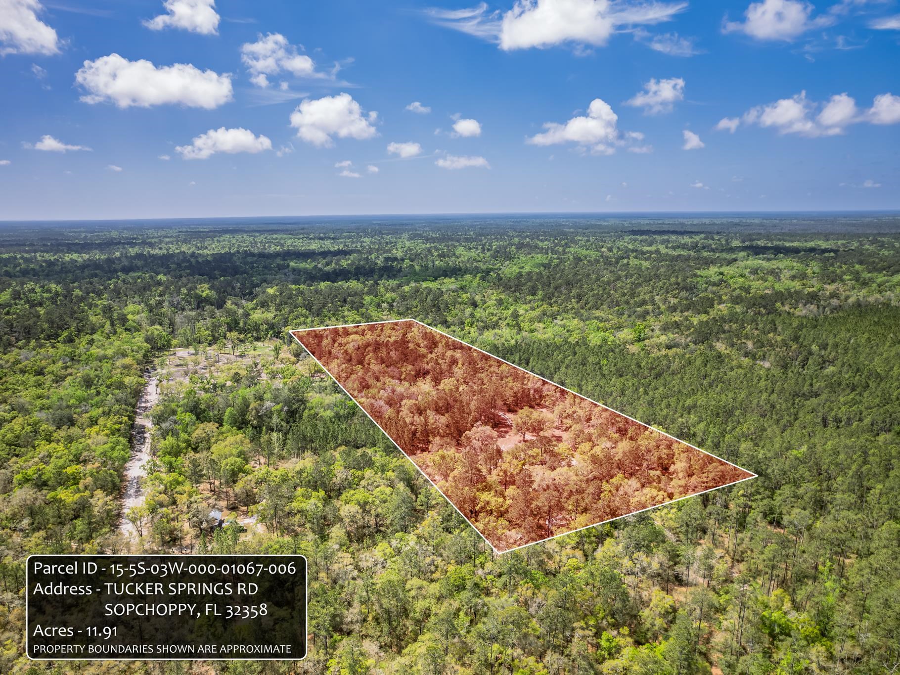 Xxx Tucker Springs Road Sopchoppy, FL 32358 - Photo 11 of 17