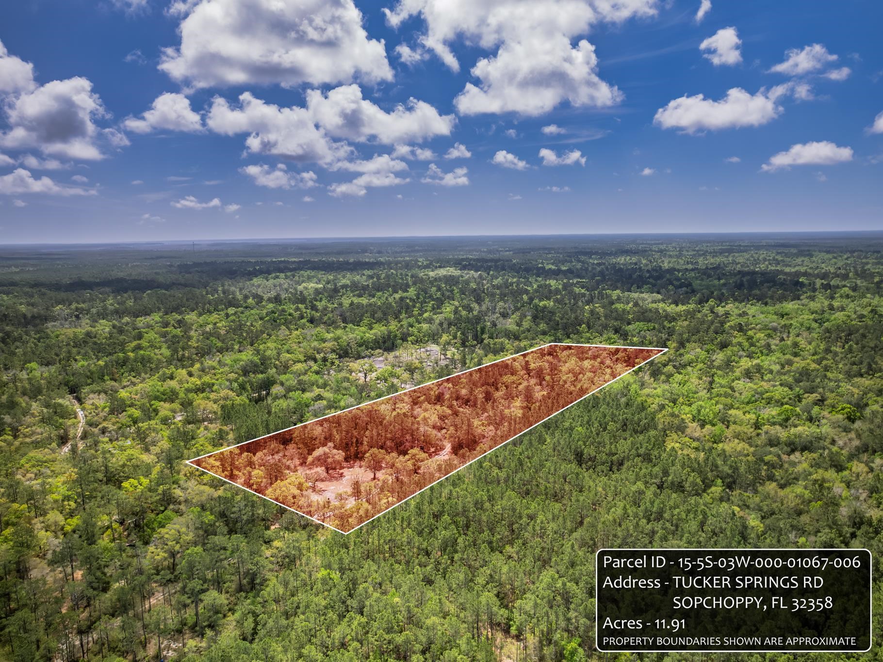 Xxx Tucker Springs Road Sopchoppy, FL 32358 - Photo 12 of 17
