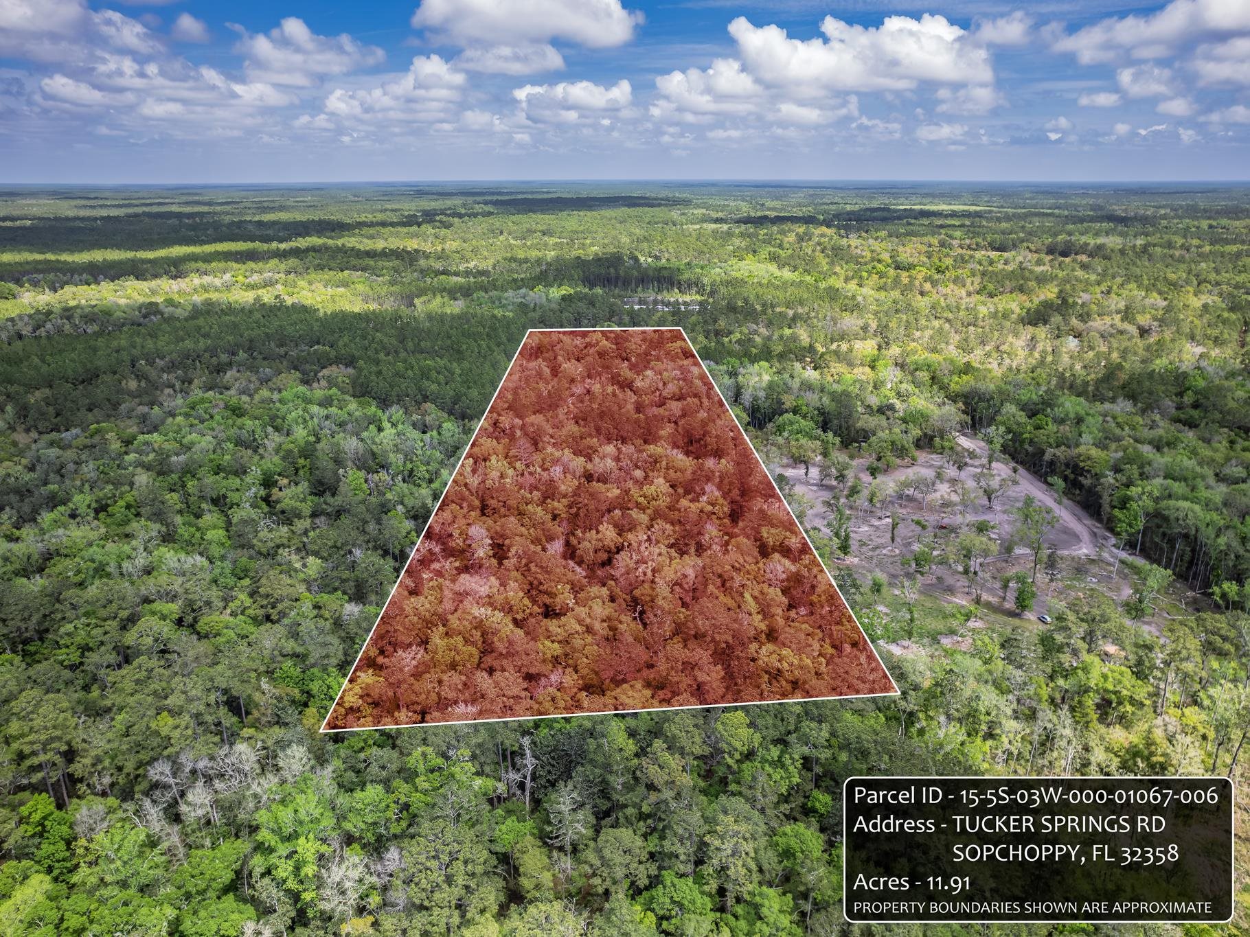Xxx Tucker Springs Road Sopchoppy, FL 32358 - Photo 14 of 17