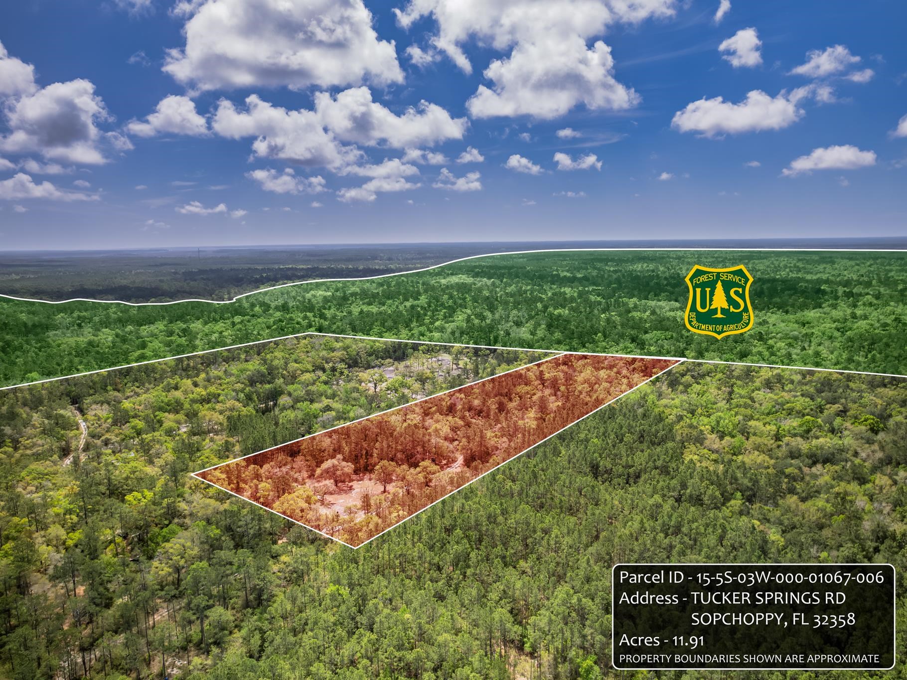 Xxx Tucker Springs Road Sopchoppy, FL 32358 - Photo 15 of 17