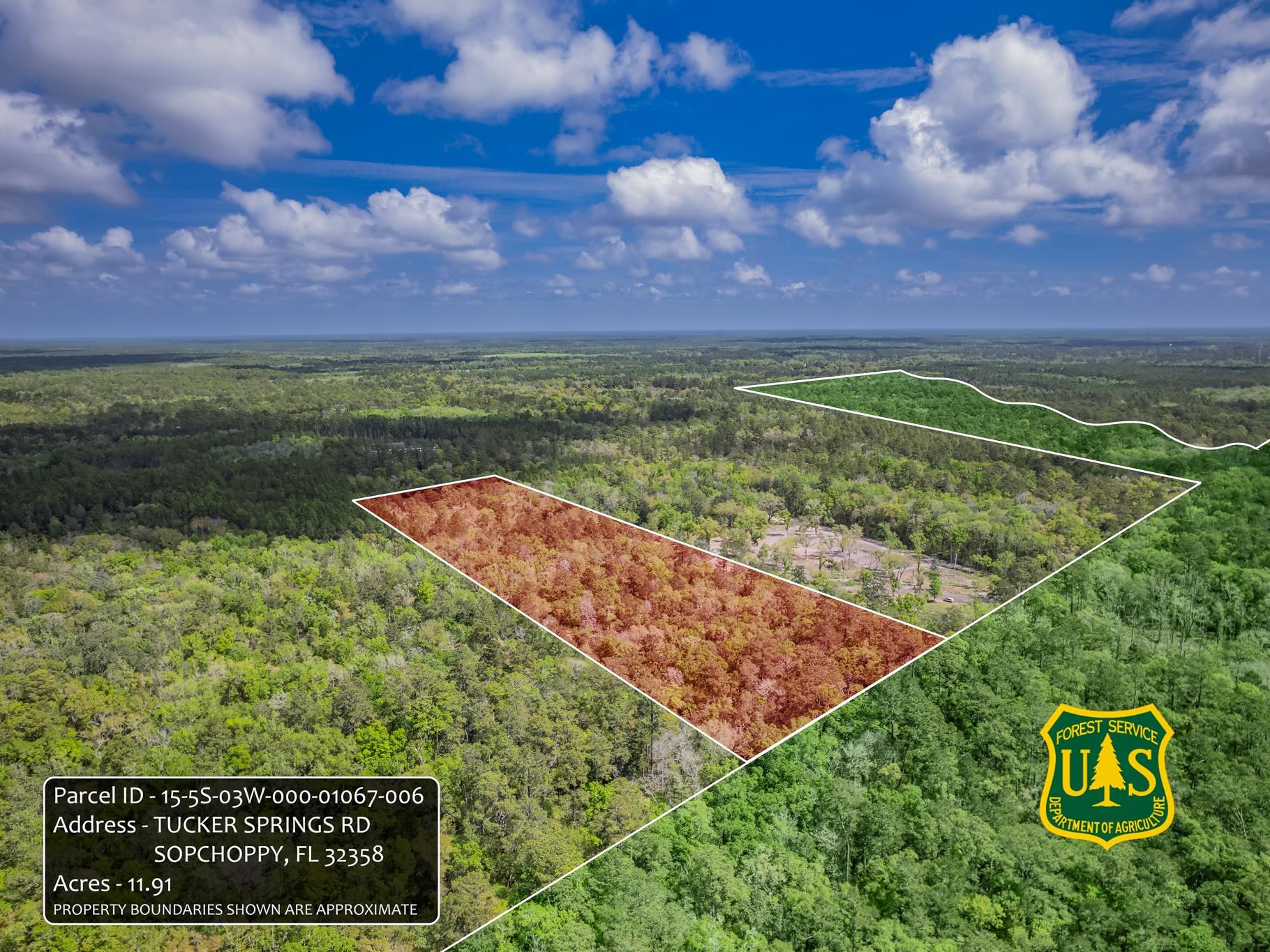 Xxx Tucker Springs Road Sopchoppy, FL 32358 - Photo 16 of 17