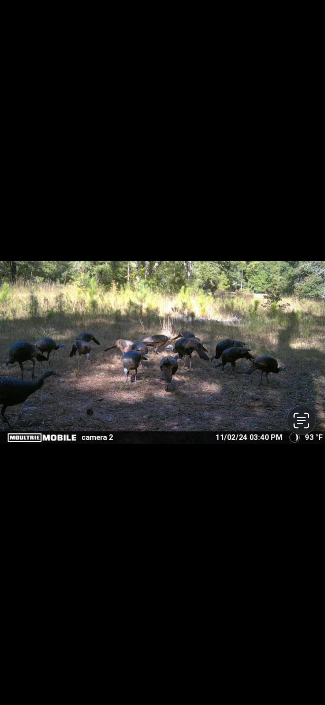 Xxx Tucker Springs Road Sopchoppy, FL 32358 - Photo 2 of 17