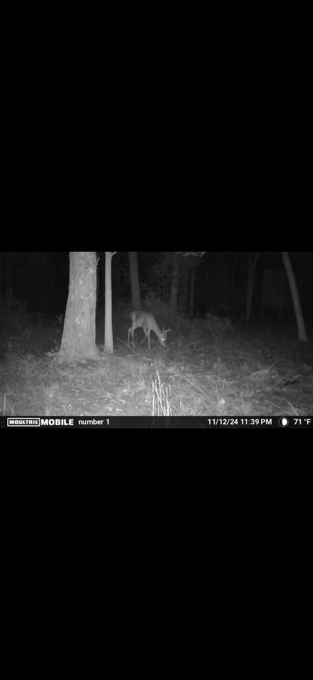 Xxx Tucker Springs Road Sopchoppy, FL 32358 - Photo 4 of 17