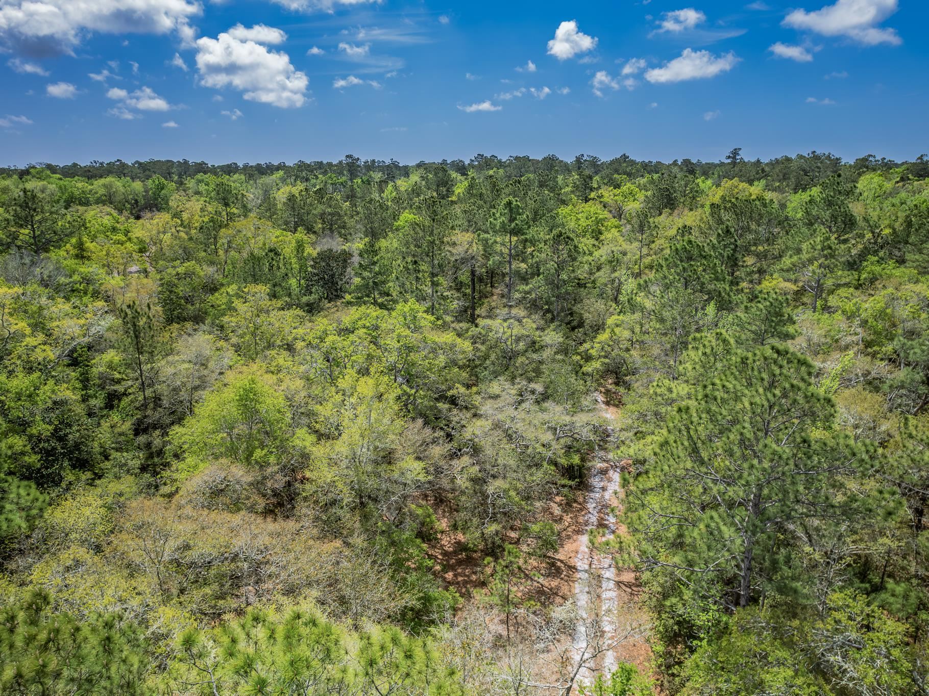 Xxx Tucker Springs Road Sopchoppy, FL 32358 - Photo 5 of 17