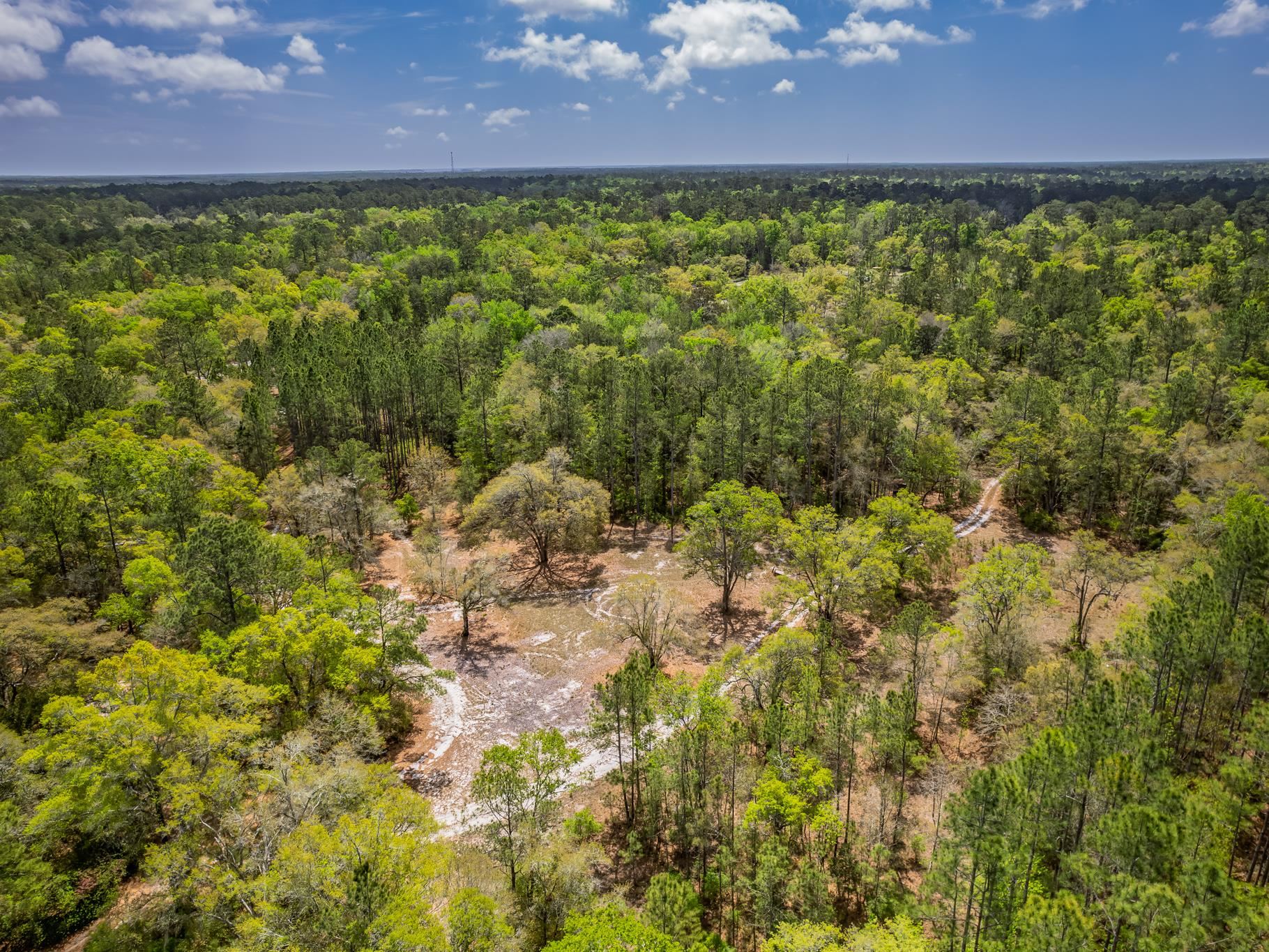 Xxx Tucker Springs Road Sopchoppy, FL 32358 - Photo 9 of 17