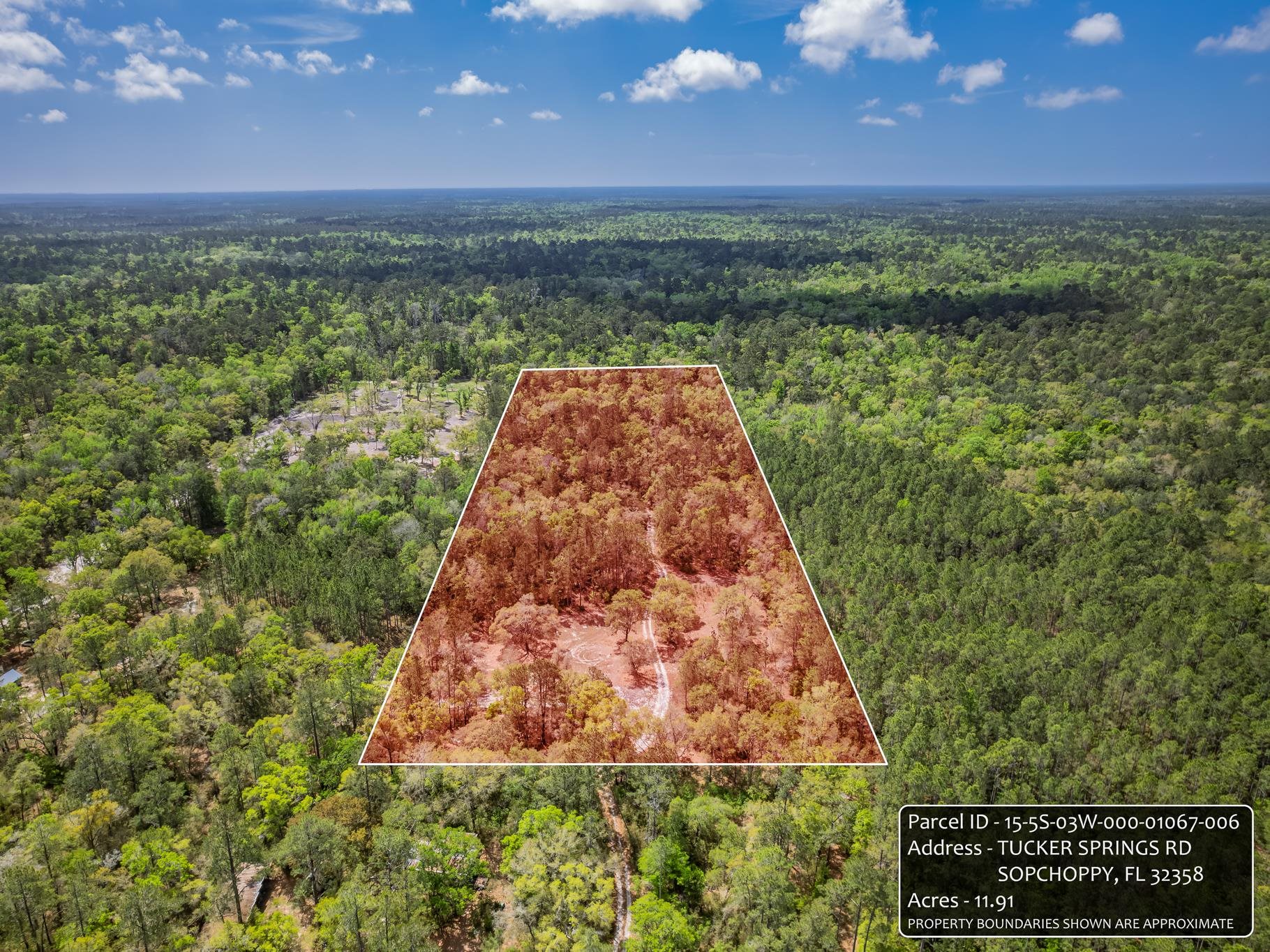 Xxx Tucker Springs Road Sopchoppy, FL 32358 - Photo 10 of 17