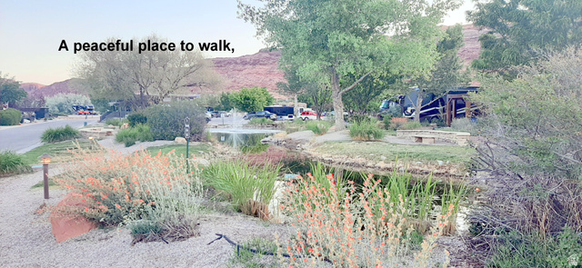 56 1261 North Main Rubicon Trail, Unit R56 Moab, UT 84532 - Photo 17 of 39