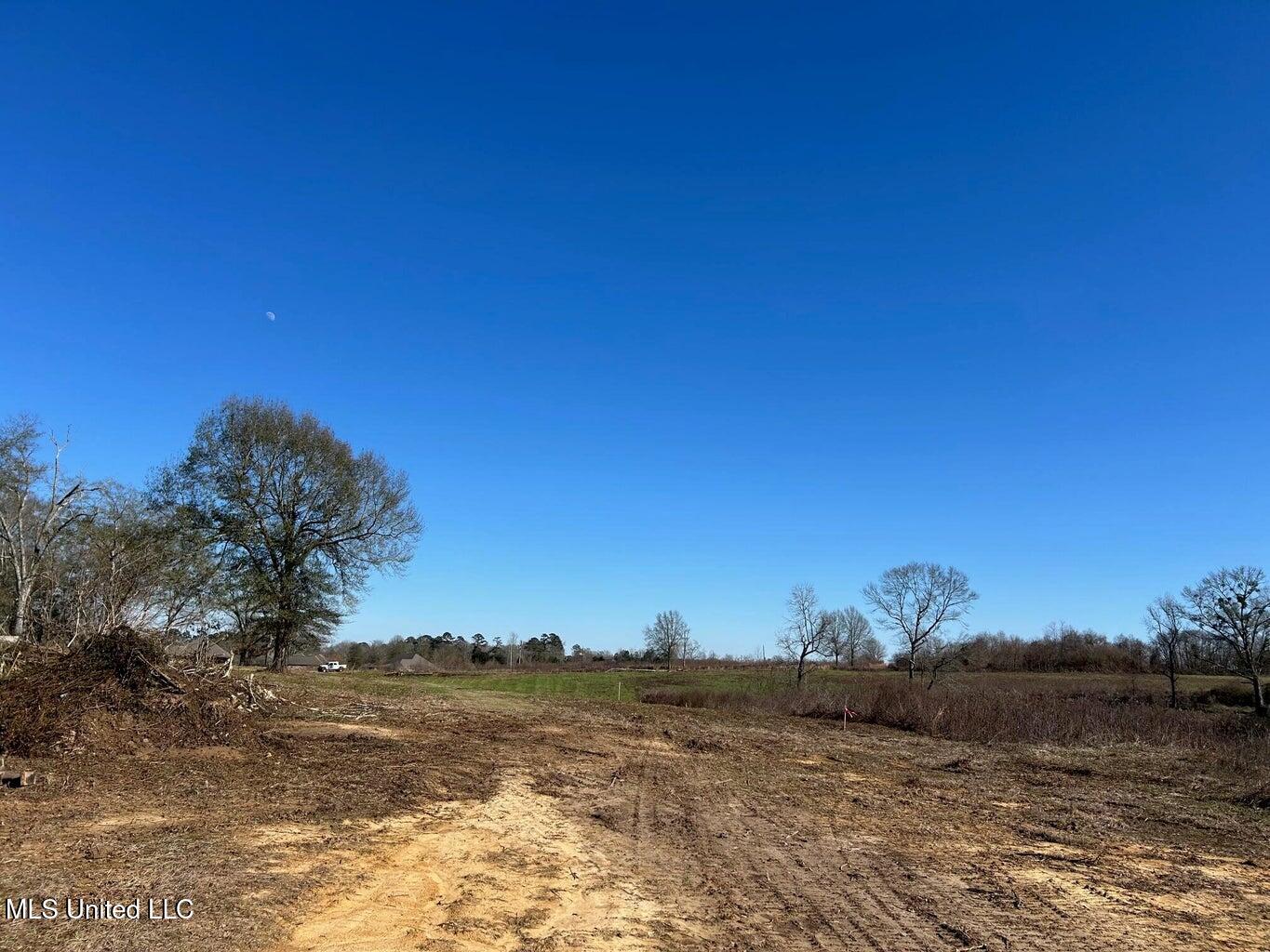 0 Biltmore Road McComb, MS 39648 - Photo 6 of 18 20260128025744452387000000-o