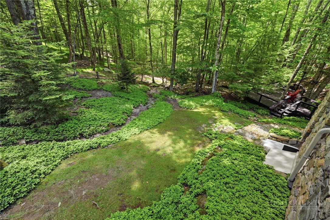 179 Hornbeam Road Beech Mountain, NC 28604 - Photo 34 of 46