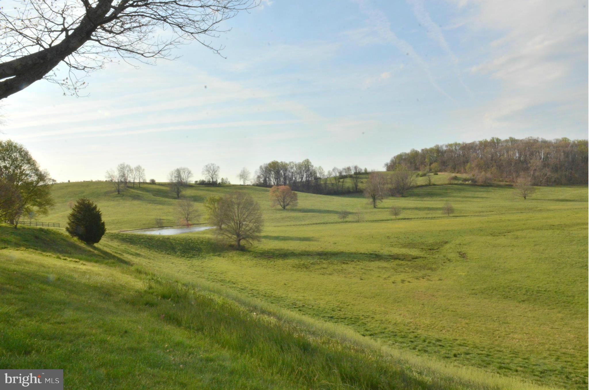 3321 Butler Road Glyndon, MD 21136 - Photo 5 of 28 View of fields with pond