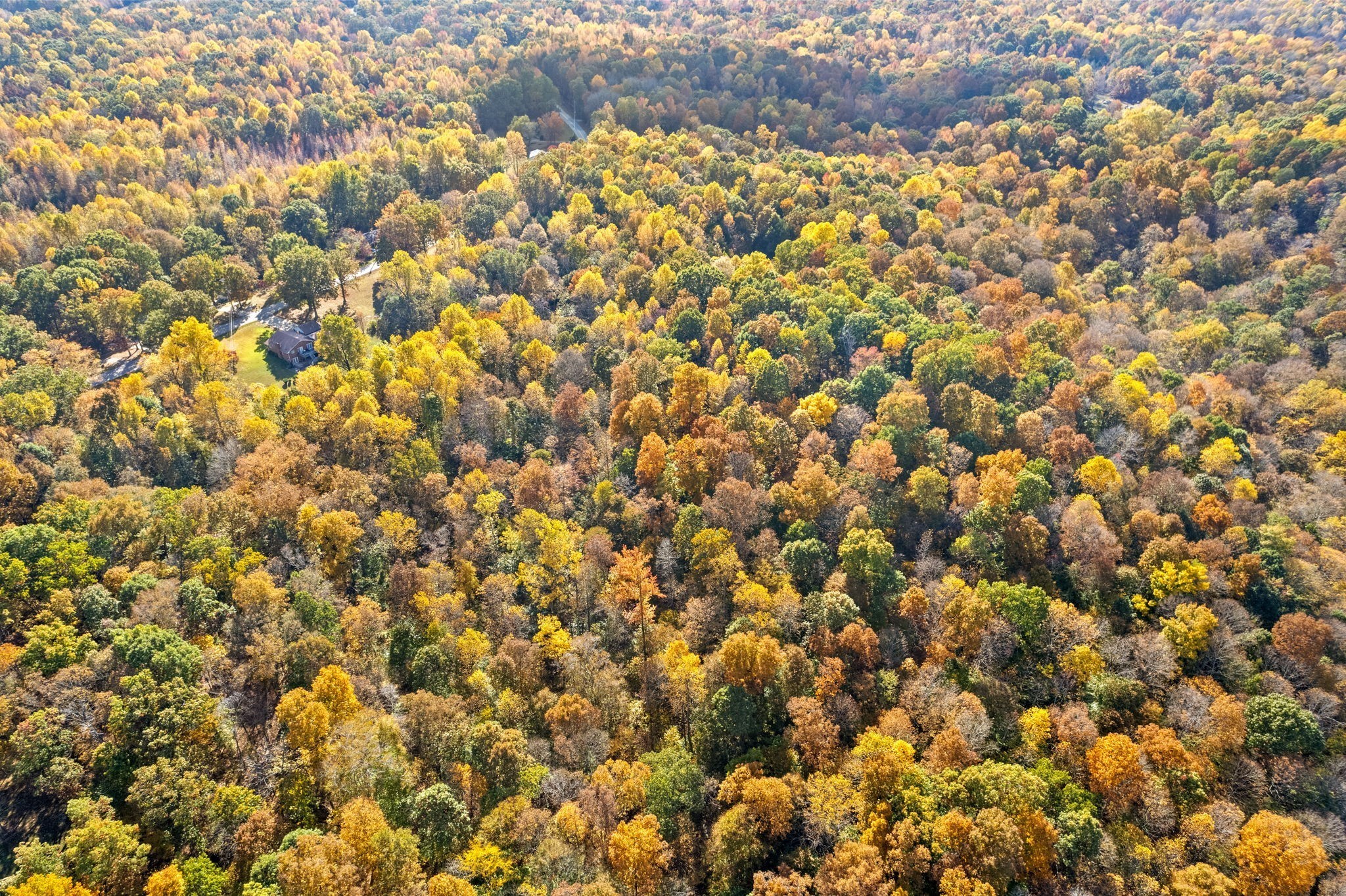 0 Ferry Road Clarksville, TN 37040 - Photo 10 of 14