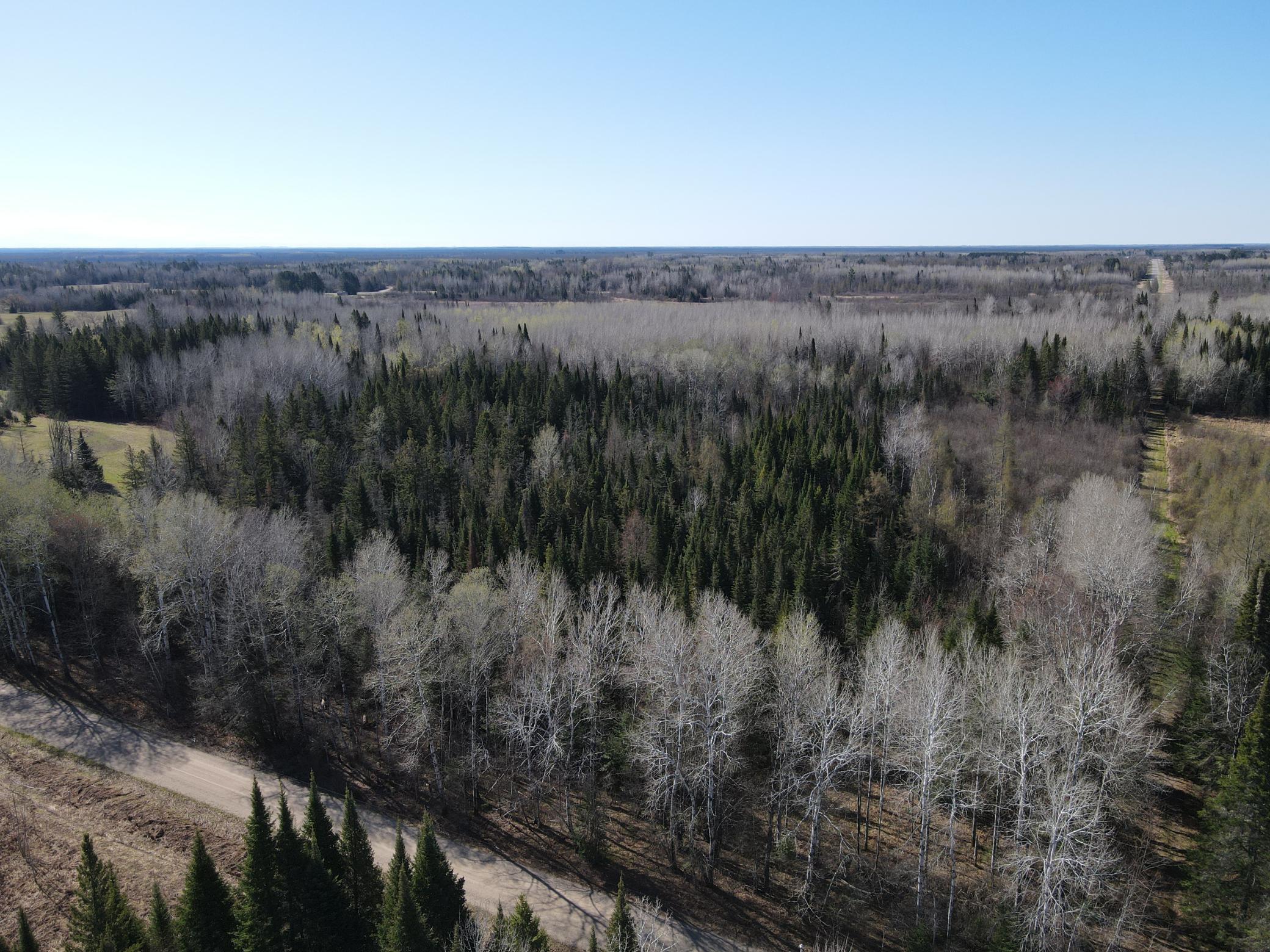 Parcel B Township Road East Floodwood, MN 55736 - Photo 13 of 13