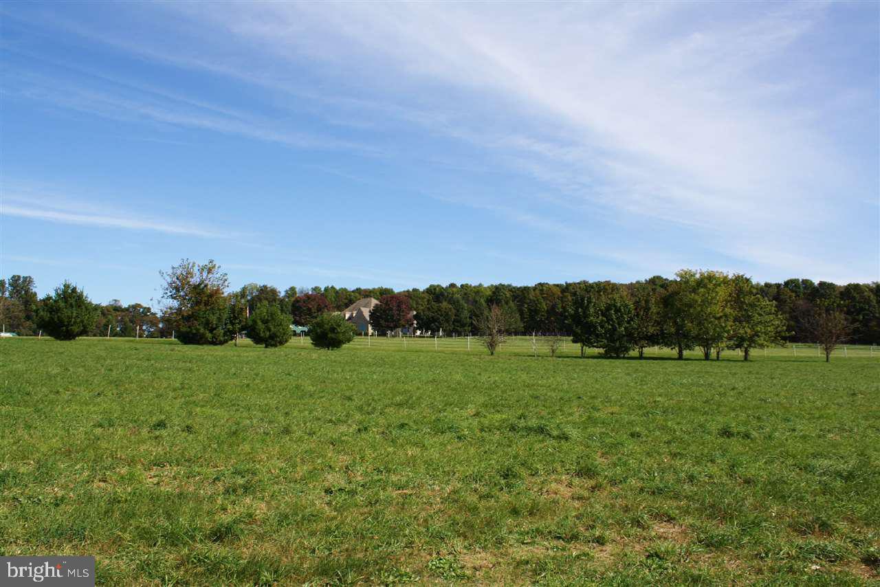 13787 Winterstown Road Felton, PA 17322 - Photo 22 of 36 a view of grassy field with trees
