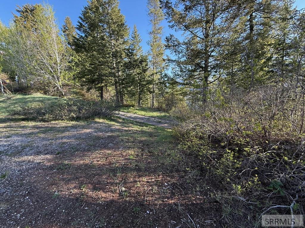 447 Goosewing Drive Irwin, ID 83428 - Photo 28 of 40