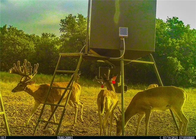 view of a swimming pool