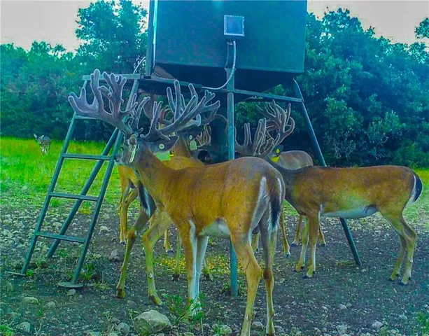 a view of an chairs and table in the garden