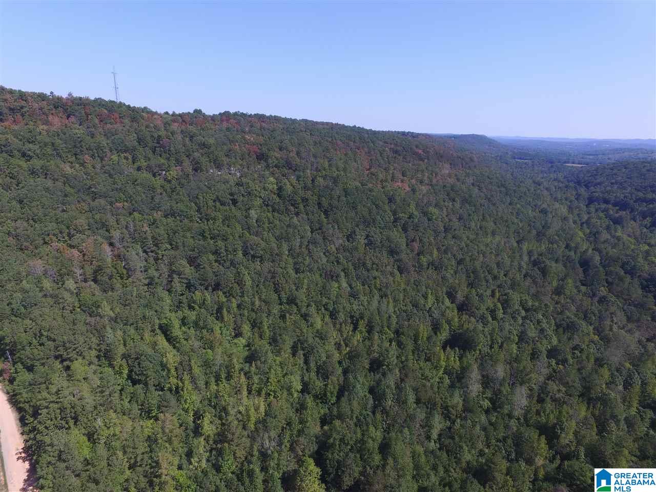 0 Bull Hollow Road, Unit 58 ACRES Gallant, AL 35972 - Photo 5 of 9