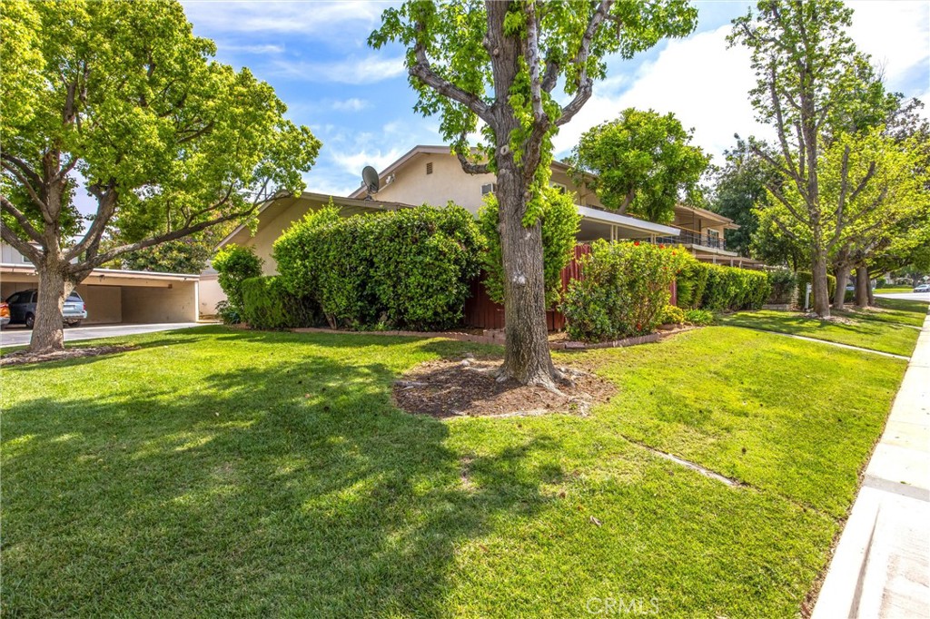 186 North Center Place Redlands, CA 92373 - Photo 26 of 28 a view of a yard with palm trees