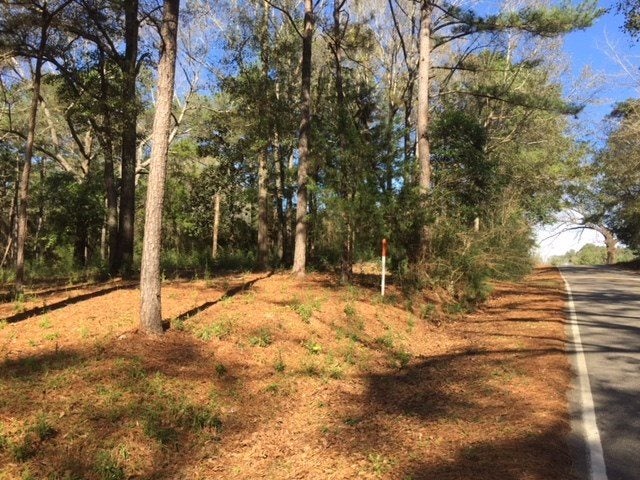0 Pinewood Road Andalusia, AL 36420 - Photo 7 of 8 Gallery Image 7